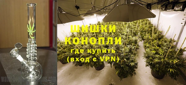 трава Няндома
