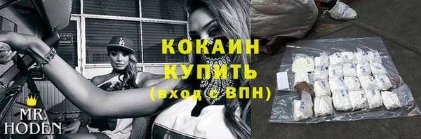 трава Няндома