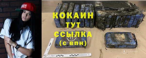 трава Няндома