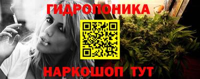 крисы Малоярославец