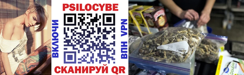 Галлюциногенные грибы Cubensis Сланцы