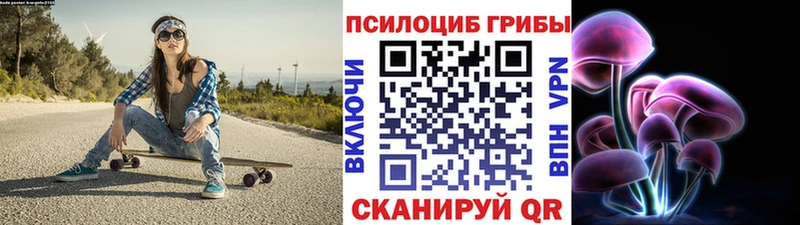 Купить закладки  Сланцы  Псилоцибиновые грибы MAGIC MUSHROOMS 