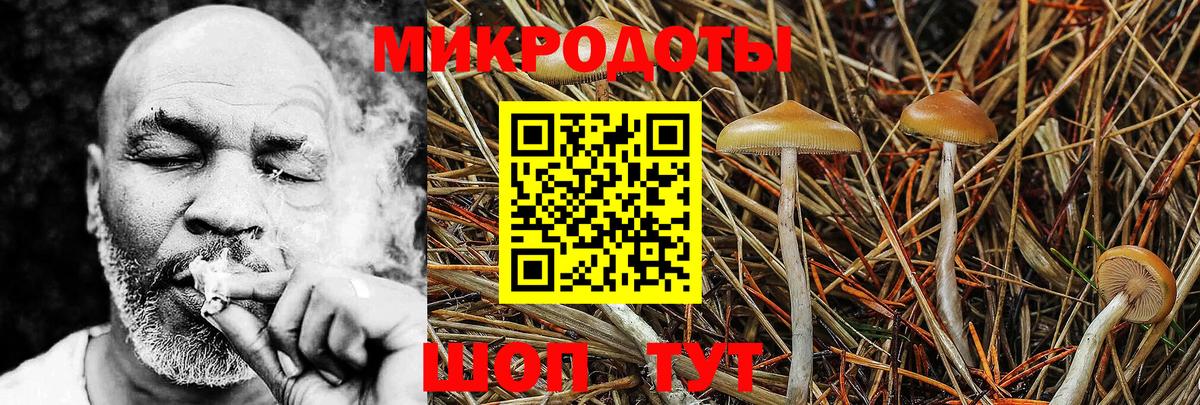 Сланцы  Галлюциногенные грибы Psilocybe  Галлюциногенные грибы Magic Shrooms  Вход с VPN 